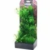 Aquarium Pflanzen Set 4 -Fischfutter Verkaufs-Shop Plantasy set 4 5701883349471 p