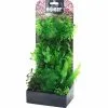 Aquarium Pflanzen Set 5 -Fischfutter Verkaufs-Shop Plantasy set 5 4011444514844 p